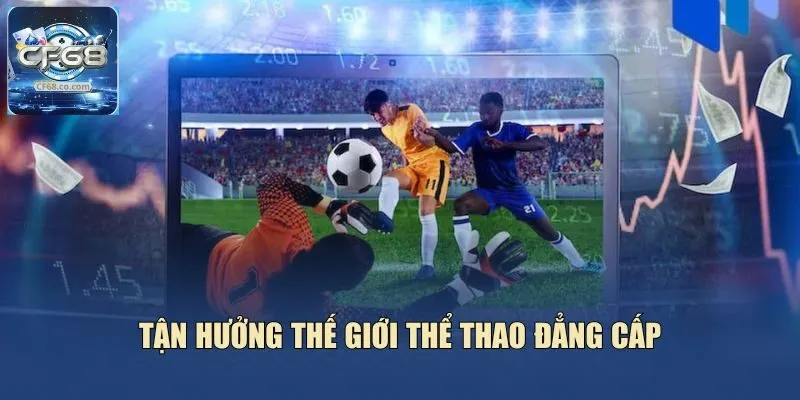 Tận hưởng thế giới thể thao đẳng cấp